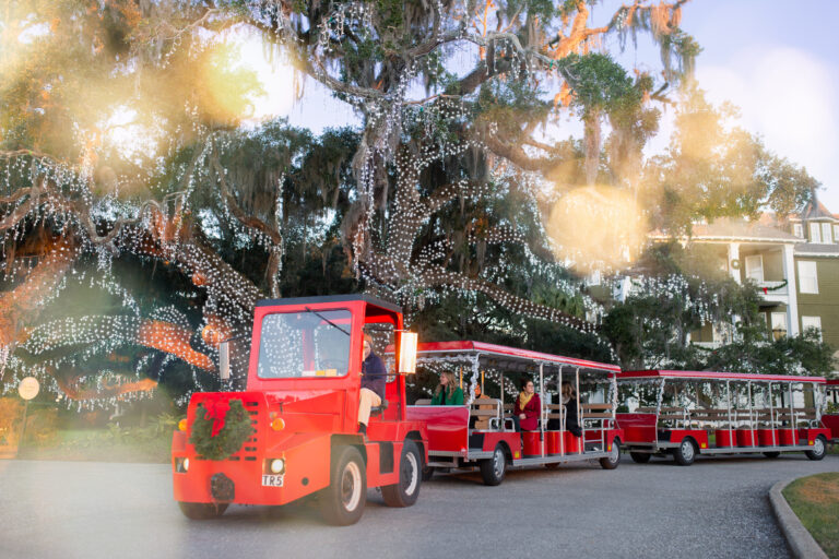 Holly Jolly Light Tours